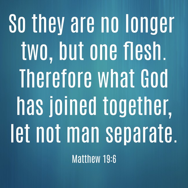 So they are no longer two, but one flesh. Therefore what God has joined together, let not man separate. - Matthew 19:6