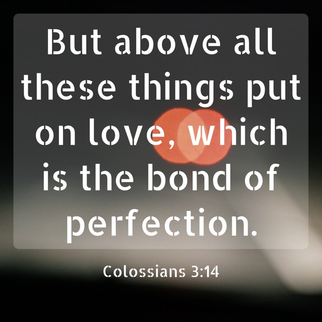 But above all these things put on love, which is the bond of perfection. - Colossians 3:14