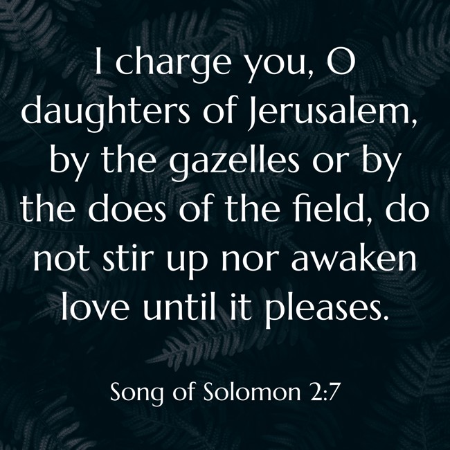 I charge you, O daughters of Jerusalem, by the gazelles or by the does of the field, do not stir up nor awaken love until it pleases. - Song of Solomon 2:7