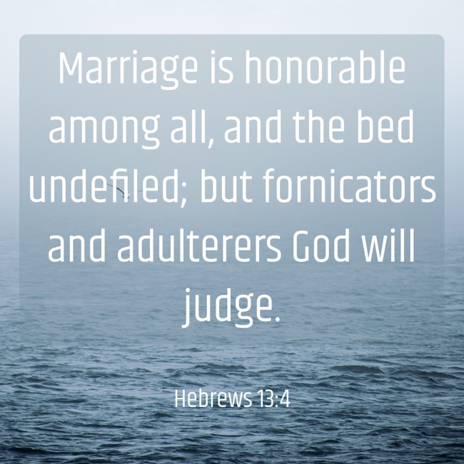 Marriage is honorable among all, and the bed undefiled; but fornicators and adulterers God will judge. - Hebrews 13:4