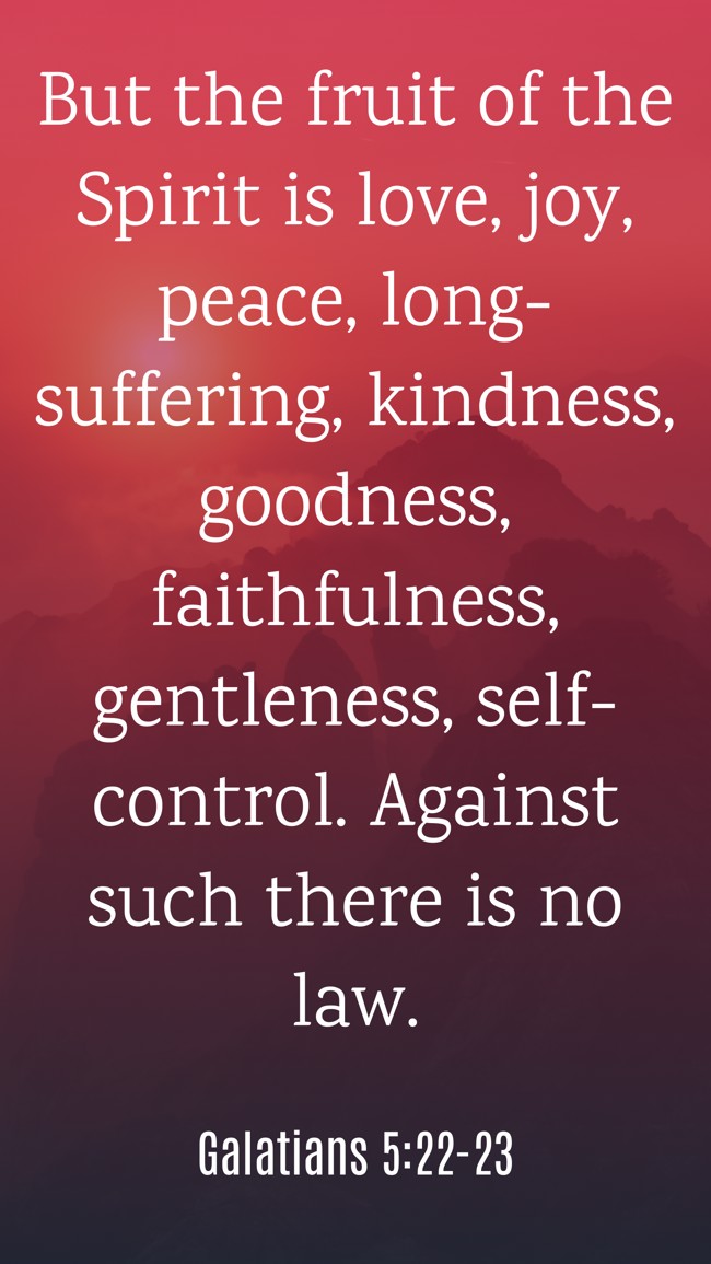 But the fruit of the Spirit is love, joy, peace, long-suffering, kindness, goodness, faithfulness, gentleness, self-control. Against such there is no law. - Galatians 5:22-23