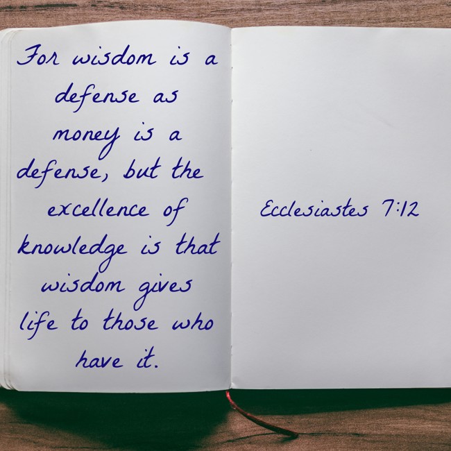 For wisdom is a defense as money is a defense, but the excellence of knowledge is that wisdom gives life to those who have it. - Ecclesiastes 7:12