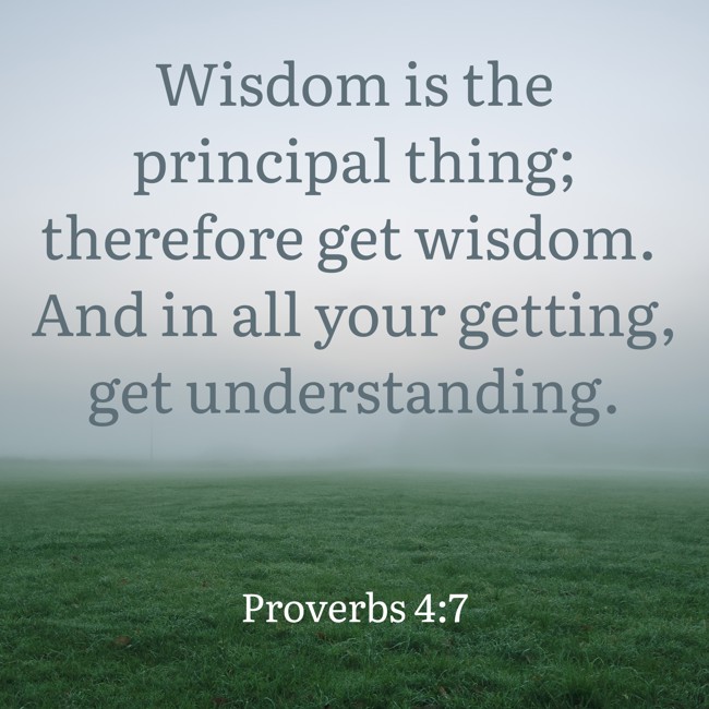 Wisdom is the principal thing; therefore get wisdom. And in all your getting, get understanding. - Proverbs 4:7