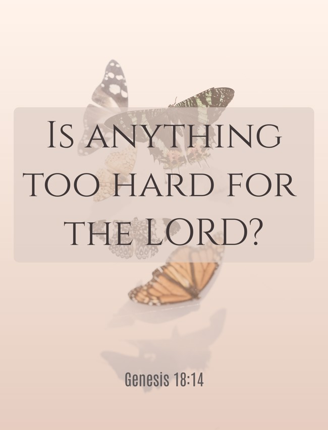  Is anything too hard for the LORD?   - Genesis 18:14 