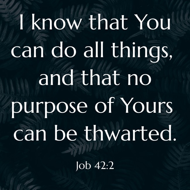  I know that You can do all things, and that no purpose of Yours can be thwarted.   - Job 42:2 