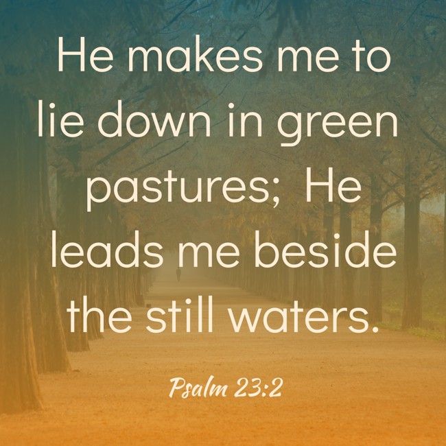 He makes me to lie down in green pastures; He leads me beside the still waters. - Psalm 23:2