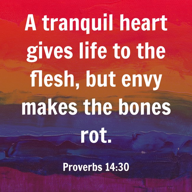 A tranquil heart gives life to the flesh, but envy makes the bones rot. - Proverbs 14:30