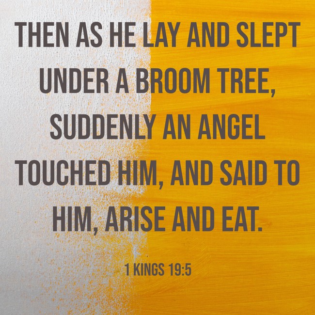 Then as he lay and slept under a broom tree, suddenly an angel touched him, and said to him, Arise and eat. - 1 Kings 19:5