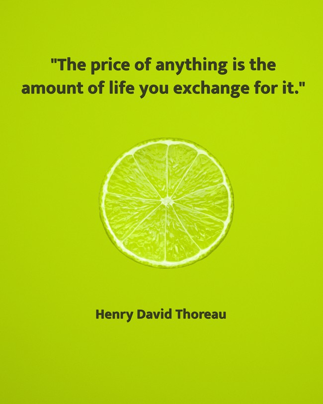 The price of anything is the amount of life you exchange for it. - Henry David Thoreau