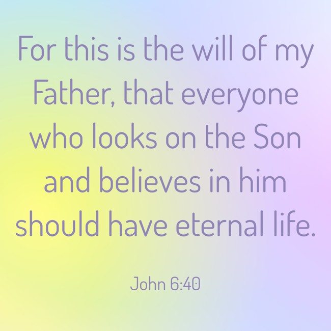 For this is the will of my Father, that everyone who looks on the Son and believes in him should have eternal life. - John 6:40