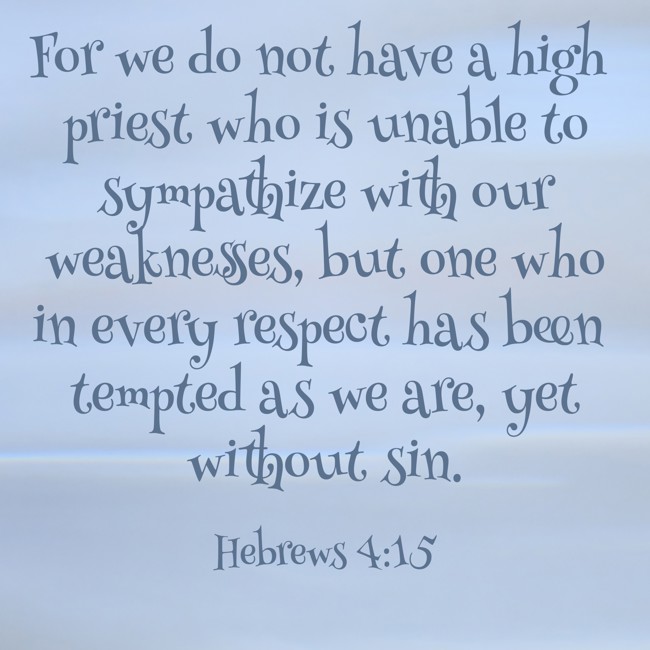 For we do not have a high priest who is unable to sympathize with our weaknesses, but one who in every respect has been tempted as we are, yet without sin. - Hebrews 4:15