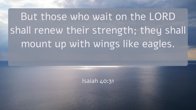 But those who wait on the LORD shall renew their strength; they shall mount up with wings like eagles. - Isaiah 40:31
