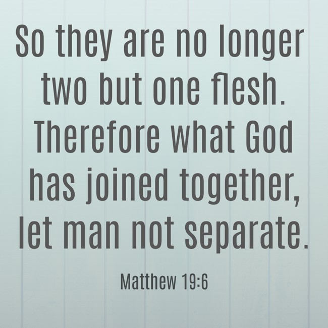 So they are no longer two but one flesh. Therefore what God has joined together, let man not separate. - Matthew 19:6