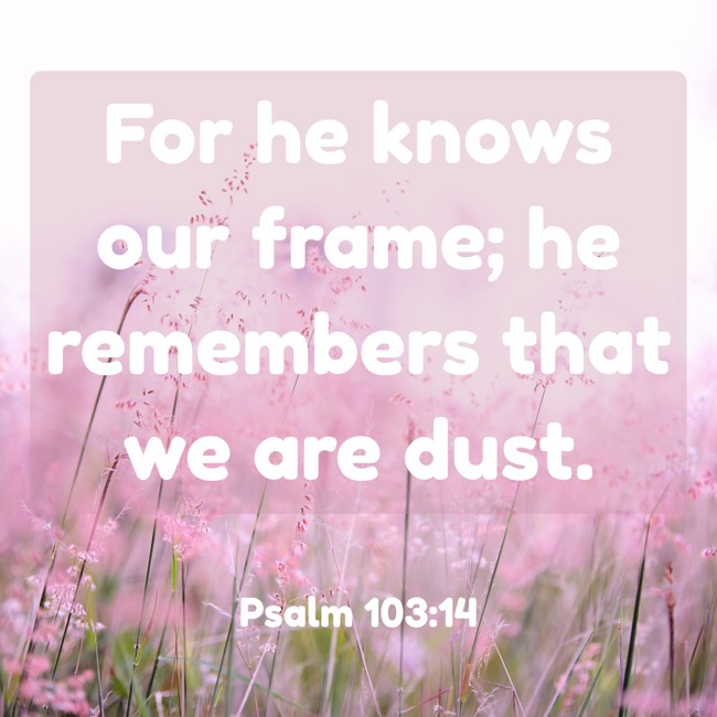 For he knows our frame; he remembers that we are dust. - Psalm 103:14
