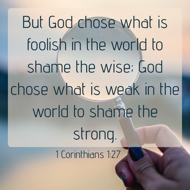 But God chose what is foolish in the world to shame the wise; God chose what is weak in the world to shame the strong. - 1 Corinthians 1:27