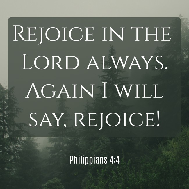  Rejoice in the Lord always. Again I will say, rejoice!   - Philippians 4:4 