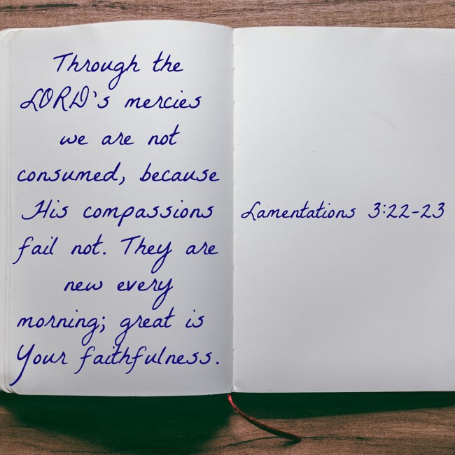 Through the LORD’s mercies we are not consumed, because His compassions fail not. They are new every morning; great is Your faithfulness. - Lamentations 3:22-23