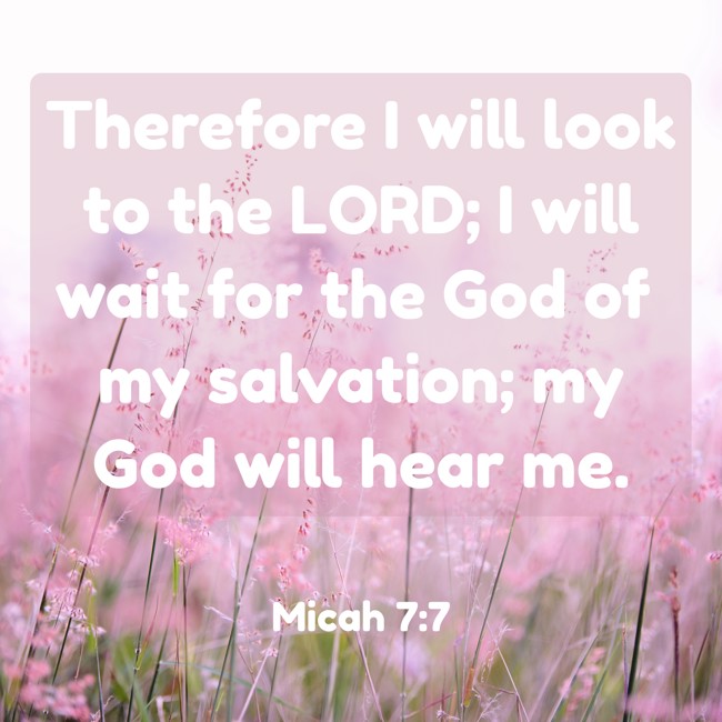 Therefore I will look to the LORD; I will wait for the God of my salvation; my God will hear me. - Micah 7:7