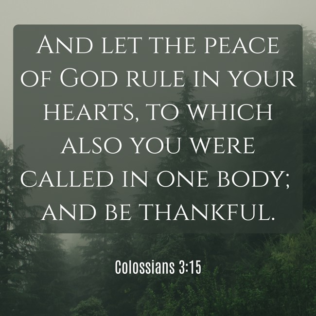 And let the peace of God rule in your hearts, to which also you were called in one body; and be thankful. - Colossians 3:15