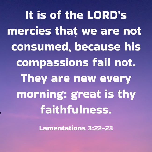  It is of the LORD's mercies that we are not consumed, because his compassions fail not. They are new every morning: great is thy faithfulness.   - Lamentations 3:22-23 