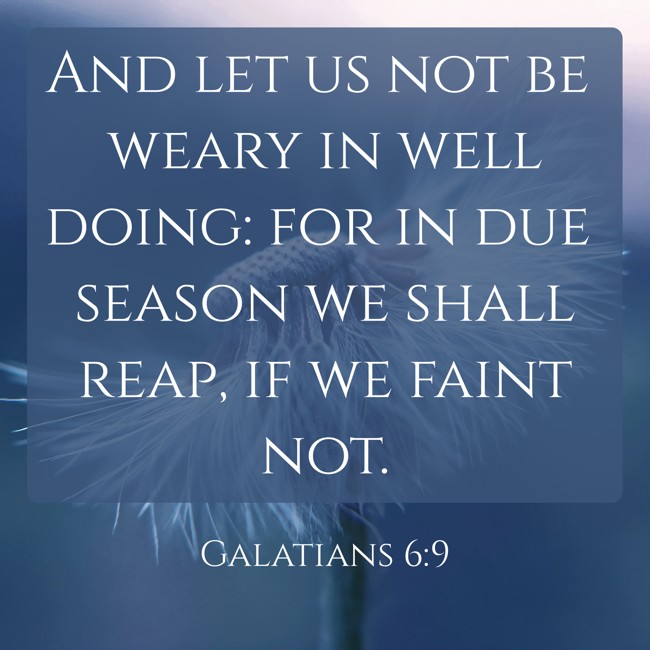  And let us not be weary in well doing: for in due season we shall reap, if we faint not.   - Galatians 6:9 