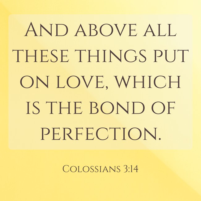 And above all these things put on love, which is the bond of perfection. - Colossians 3:14