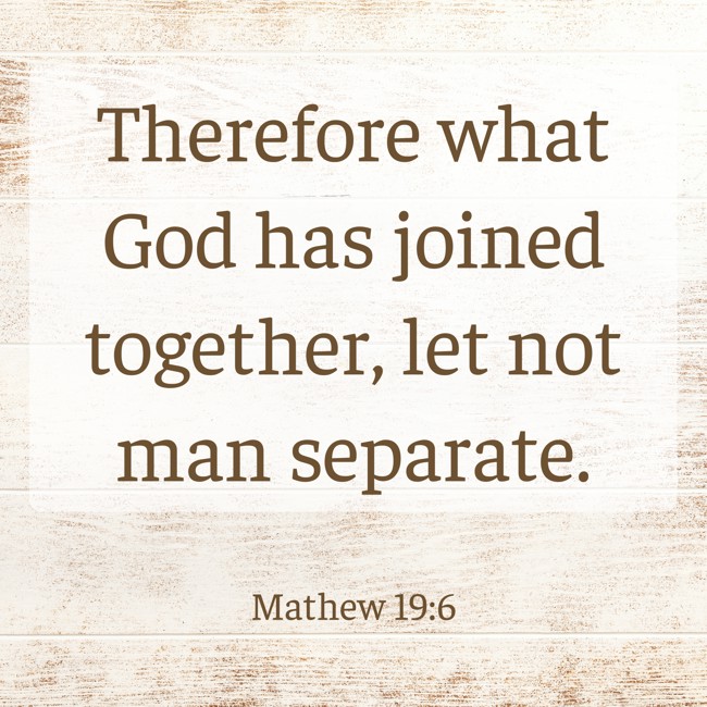 Therefore what God has joined together, let not man separate. - Mathew 19:6