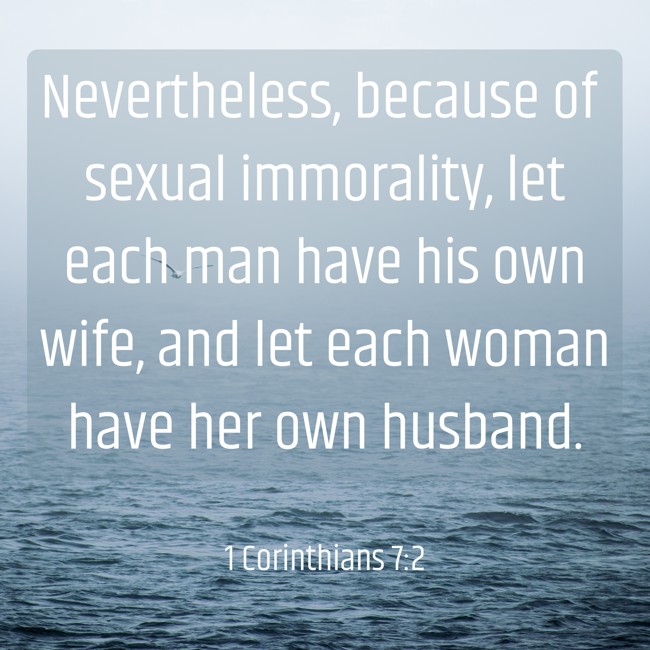 Nevertheless, because of sexual immorality, let each man have his own wife, and let each woman have her own husband. - 1 Corinthians 7:2