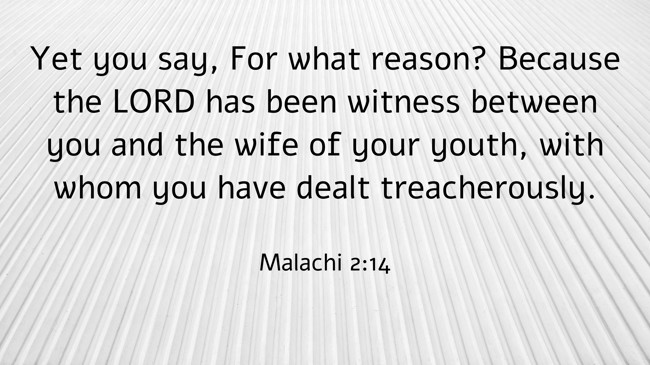 Yet you say, For what reason? Because the LORD has been witness between you and the wife of your youth, with whom you have dealt treacherously. - Malachi 2:14