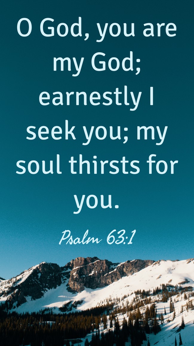 O God, you are my God; earnestly I seek you; my soul thirsts for you. - Psalm 63:1