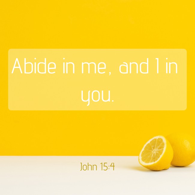 Abide in me, and I in you. - John 15:4