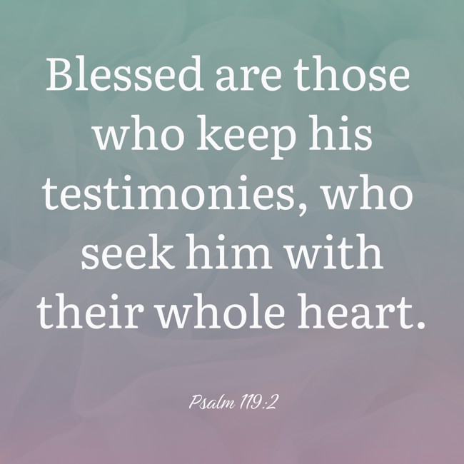 Blessed are those who keep his testimonies, who seek him with their whole heart. - Psalm 119:2
