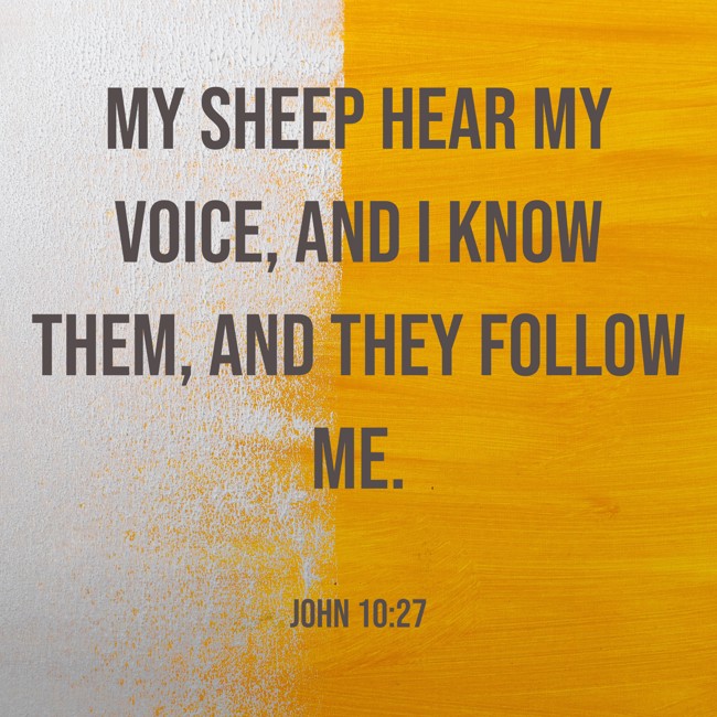 My sheep hear my voice, and I know them, and they follow me. - John 10:27