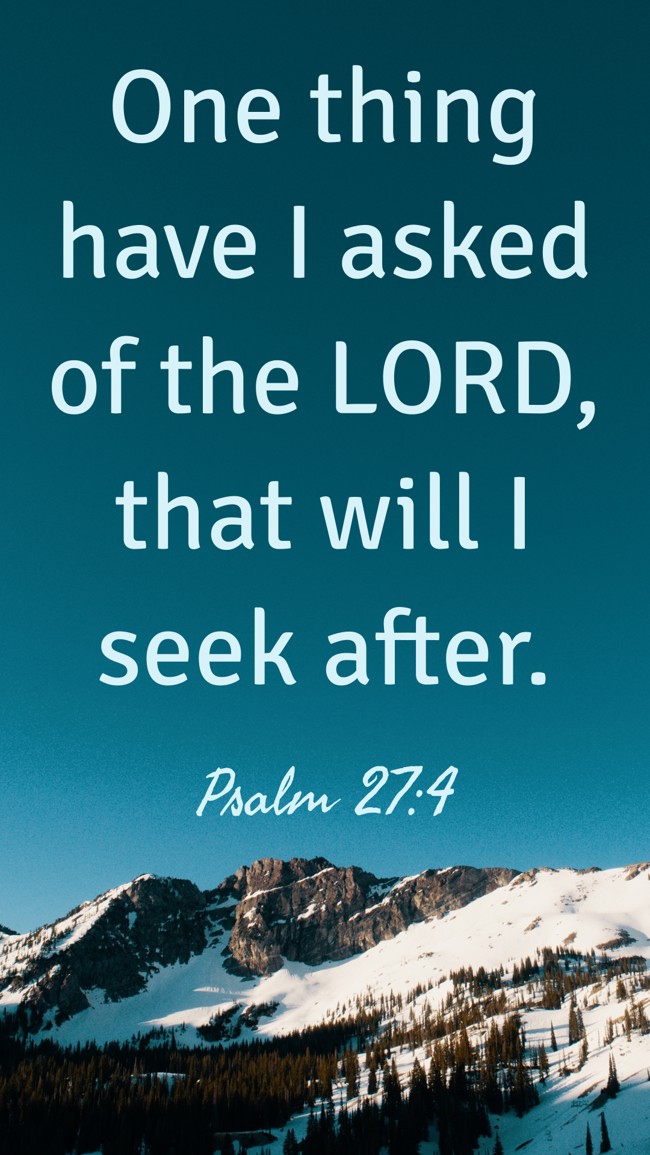 One thing have I asked of the LORD, that will I seek after. - Psalm 27:4