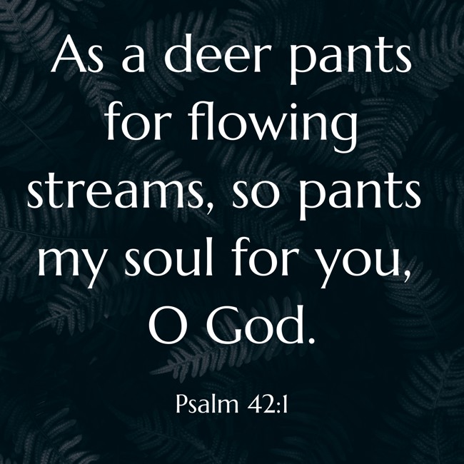 As a deer pants for flowing streams, so pants my soul for you, O God. - Psalm 42:1