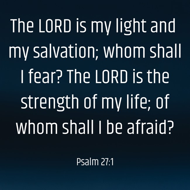 The LORD is my light and my salvation; whom shall I fear? The LORD is the strength of my life; of whom shall I be afraid? - Psalm 27:1