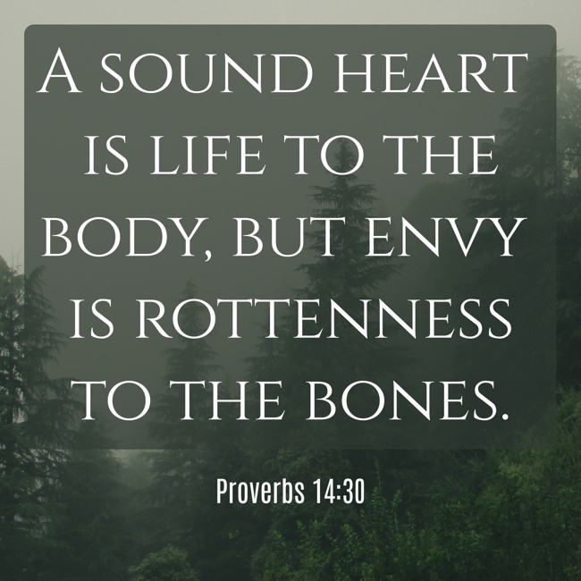 A sound heart is life to the body, but envy is rottenness to the bones. - Proverbs 14:30