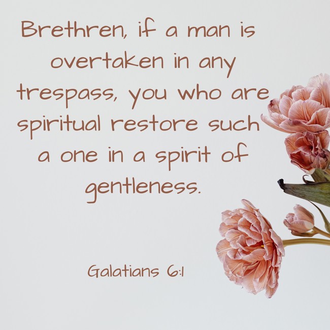 Brethren, if a man is overtaken in any trespass, you who are spiritual restore such a one in a spirit of gentleness. - Galatians 6:1