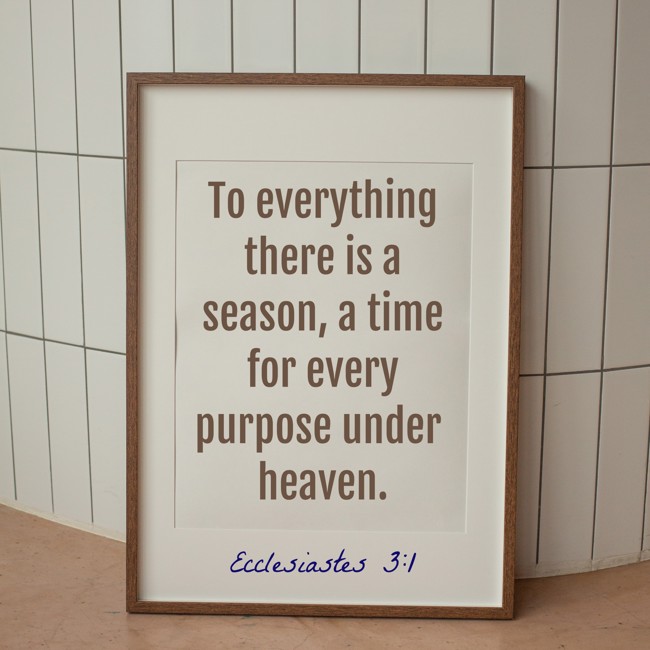 To everything there is a season, a time for every purpose under heaven. - Ecclesiastes 3:1