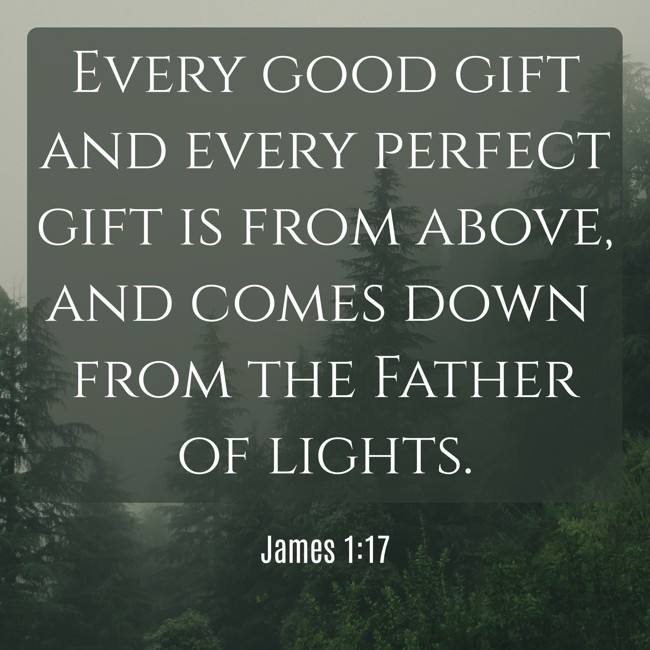Every good gift and every perfect gift is from above, and comes down from the Father of lights. - James 1:17