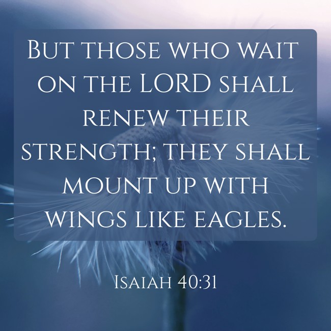 But those who wait on the LORD shall renew their strength; they shall mount up with wings like eagles. - Isaiah 40:31