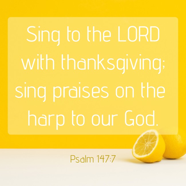 Sing to the LORD with thanksgiving; sing praises on the harp to our God. - Psalm 147:7