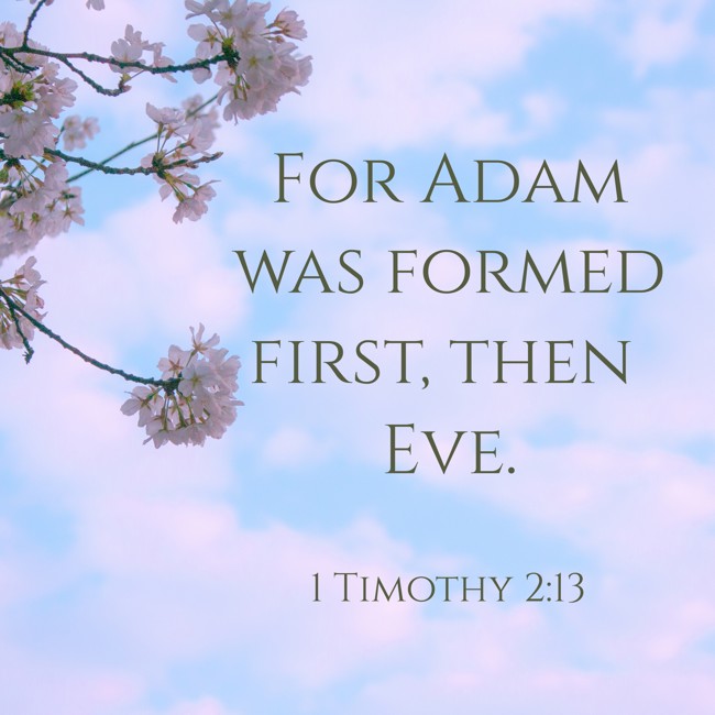 For Adam was formed first, then Eve. - 1 Timothy 2:13
