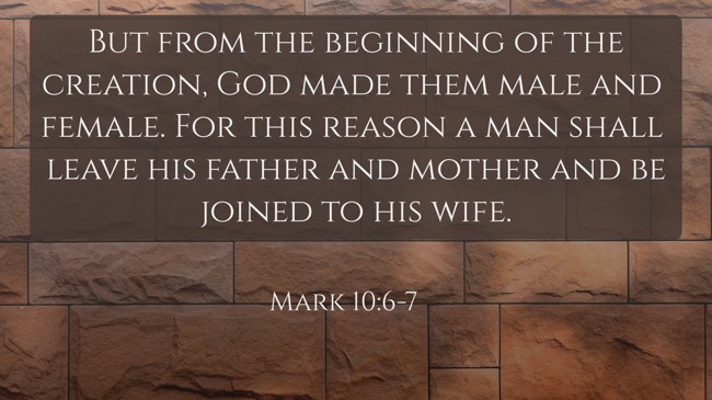 But from the beginning of the creation, God made them male and female. For this reason a man shall leave his father and mother and be joined to his wife. - Mark 10:6-7