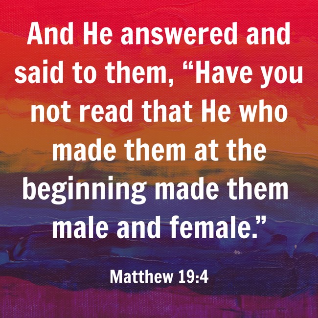 And He answered and said to them, “Have you not read that He who made them at the beginning made them male and female.” - Matthew 19:4