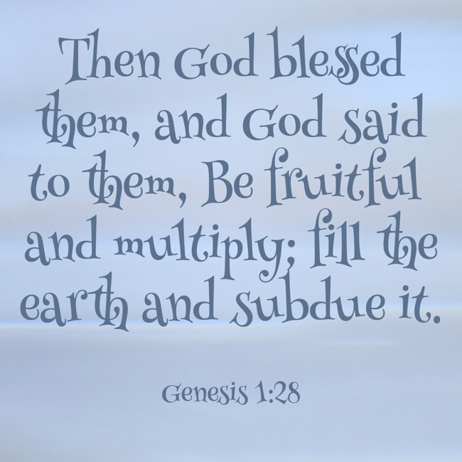 Then God blessed them, and God said to them, Be fruitful and multiply; fill the earth and subdue it. - Genesis 1:28