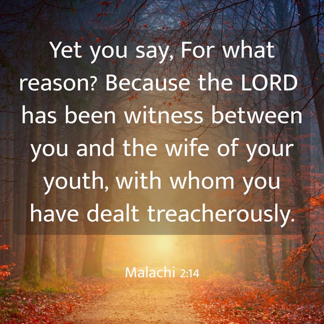 Yet you say, For what reason? Because the LORD has been witness between you and the wife of your youth, with whom you have dealt treacherously. - Malachi 2:14