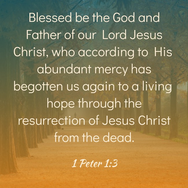 Blessed be the God and Father of our Lord Jesus Christ, who according to His abundant mercy has begotten us again to a living hope through the resurrection of Jesus Christ from the dead. - 1 Peter 1:3