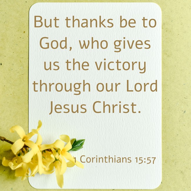 But thanks be to God, who gives us the victory through our Lord Jesus Christ. - 1 Corinthians 15:57