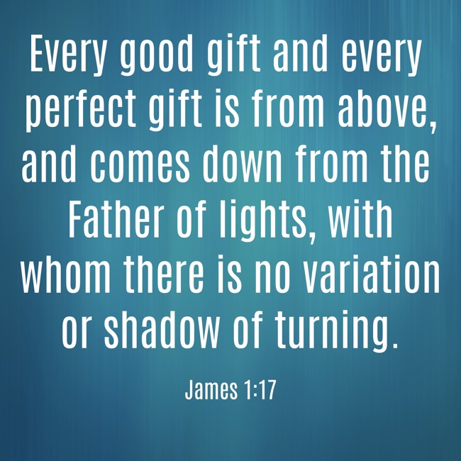 Every good gift and every perfect gift is from above, and comes down from the Father of lights, with whom there is no variation or shadow of turning. - James 1:17